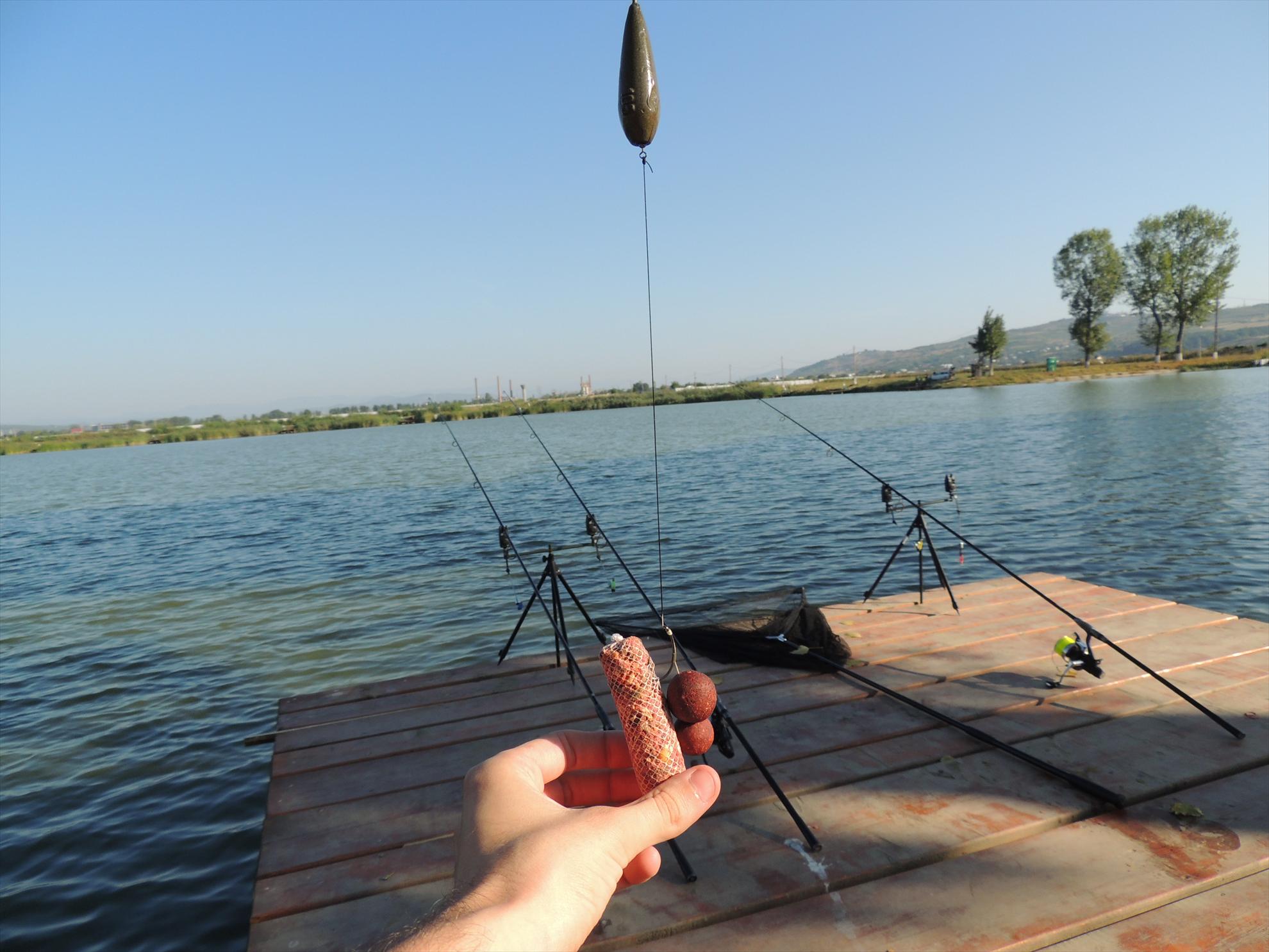 Pleasa - dscn0606.JPG